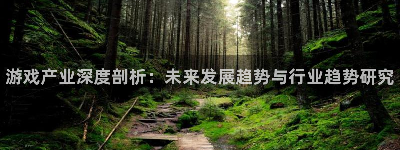 欧博娱乐什么意思：游戏产业深度剖析：未来发展趋势与行业趋势研