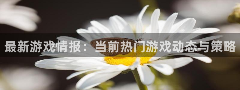 欧博娱乐平台官方网站：最新游戏情报：当前热门游戏动态与策略