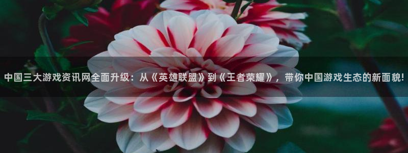 欧博娱乐集团：中国三大游戏资讯网全面升级：从《英雄联盟》到《