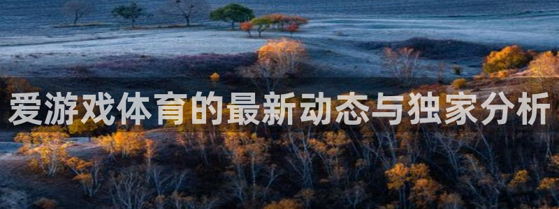 欧博娱乐开户测速：爱游戏体育的最新动态与独家分析