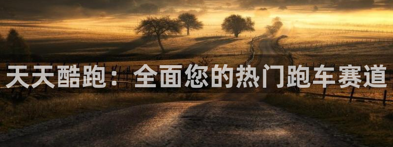 欧博娱乐平台登录线路：天天酷跑：全面您的热门跑车赛道