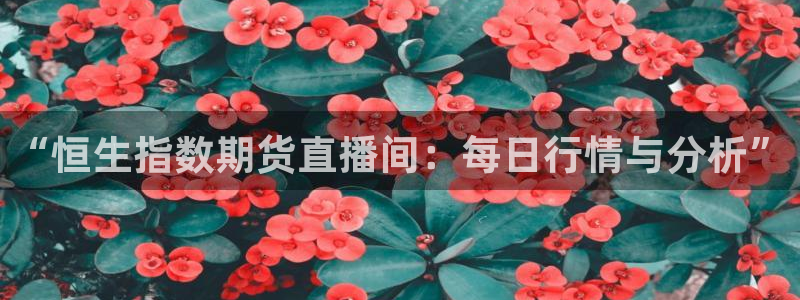 火凤直播体育直播：“恒生指数期货直播间：每日行情与分析”